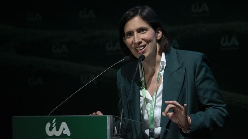 Sondaggi politici: il Pd in crescita, FdI mantiene la leadership. Aumenta il consenso per il partito di Vannacci. 2