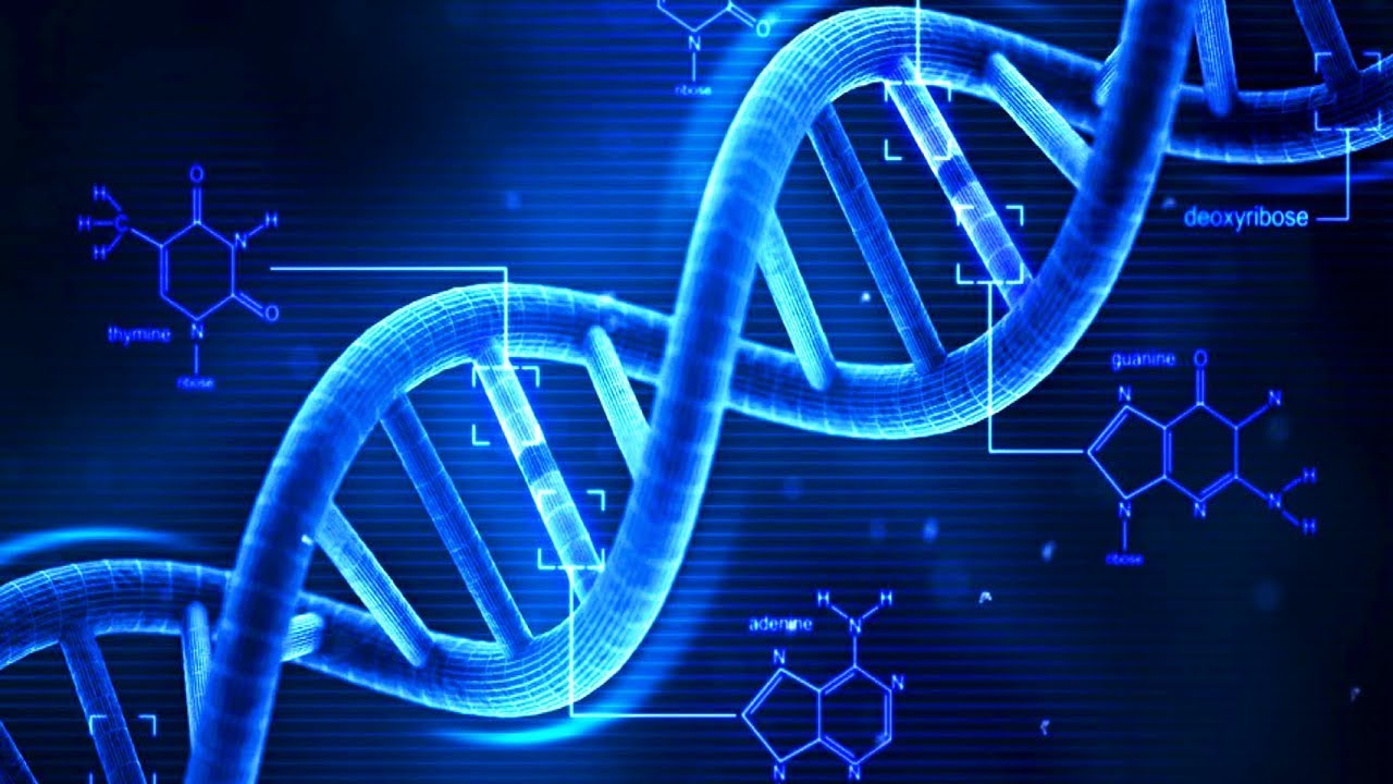 Strutture di DNA extracromosomico e la loro relazione con l'aggressività neoplastica 1