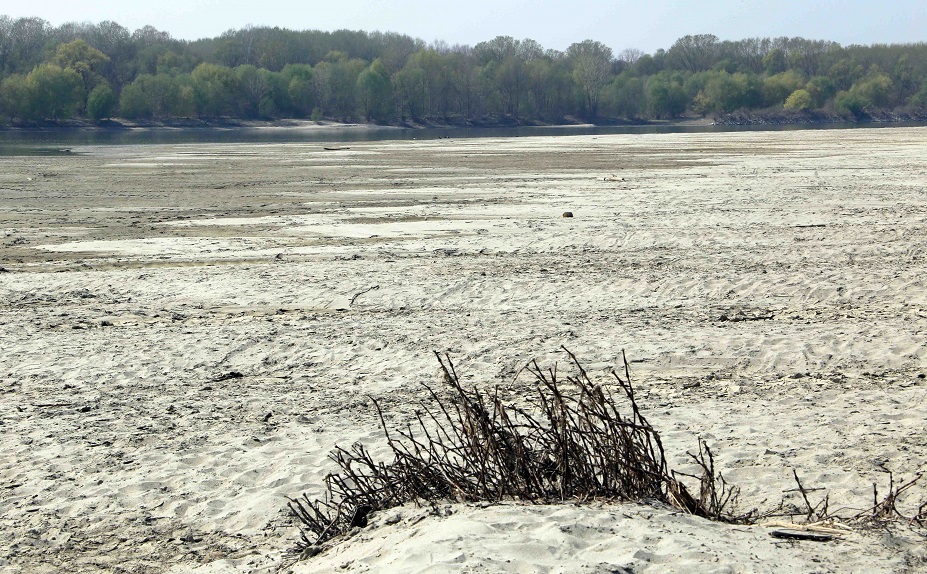 Caldo e mancanza d'acqua, Confcooperative Romagna-Estense: “Necessario un intervento straordinario” 1