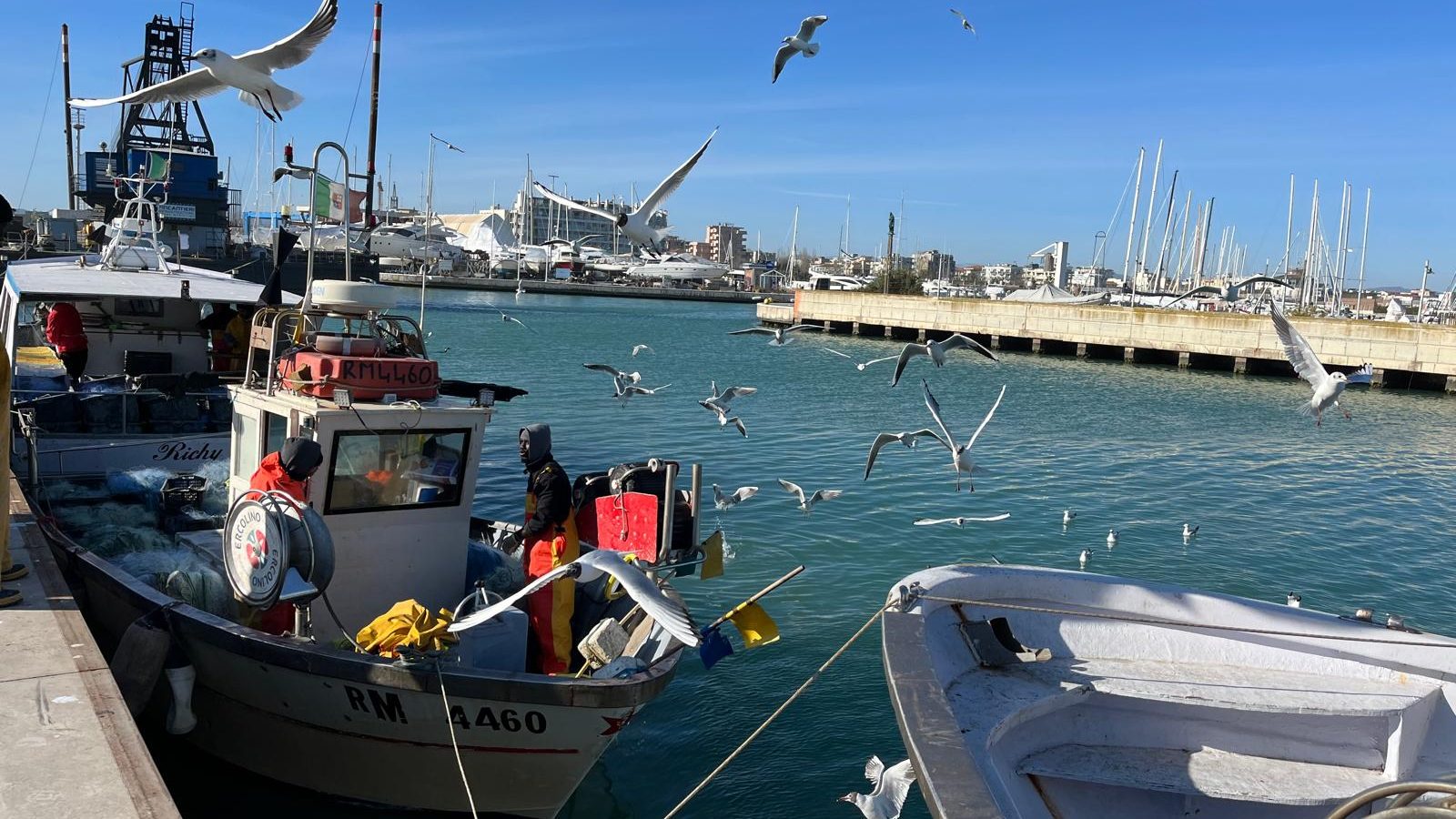 Da Goro a Rimini: collaborazione per la salvaguardia del mare e della pesca. 1