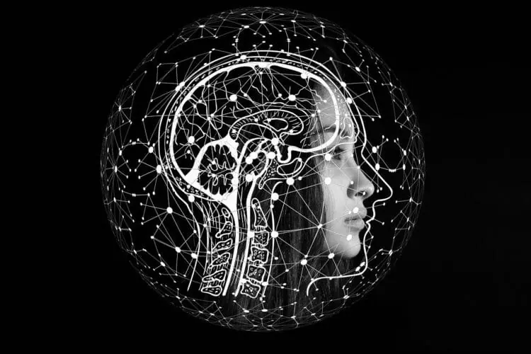 Il cervello ha una maggiore capacità di memorizzare eventi imprevisti e sorprendenti. 1