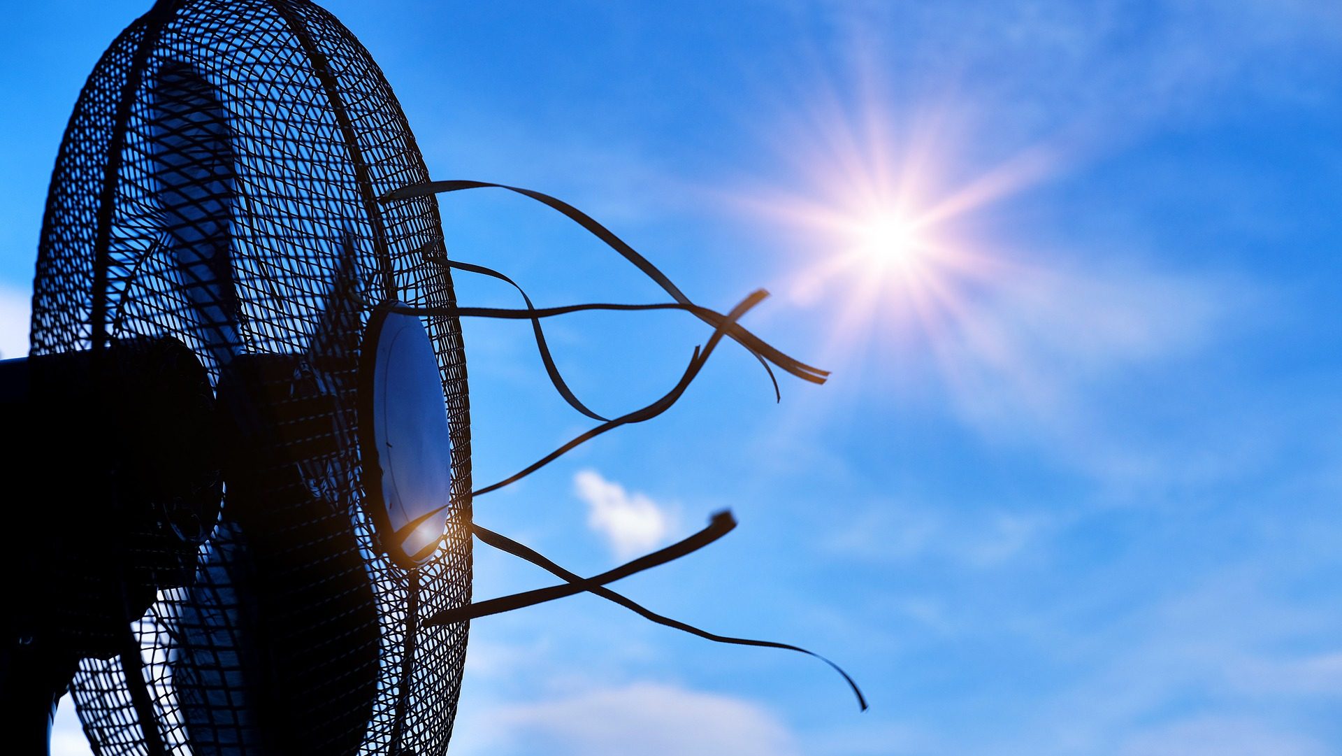 Temperature estreme nei nidi. "Non è possibile agire solo in situazioni di crisi" 1