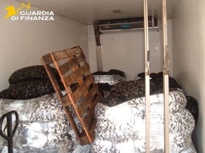 Arresto ai domiciliari per un condannato mafioso coinvolto nell'importazione clandestina di vongole. 2