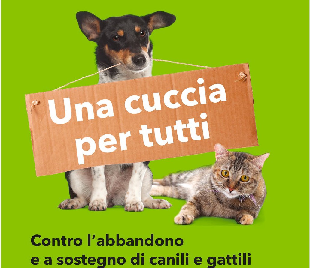 "Coop Alleanza 3.0 riafferma il suo impegno contro l'abbandono degli animali con l'iniziativa 'Una cuccia per tutti'" 1