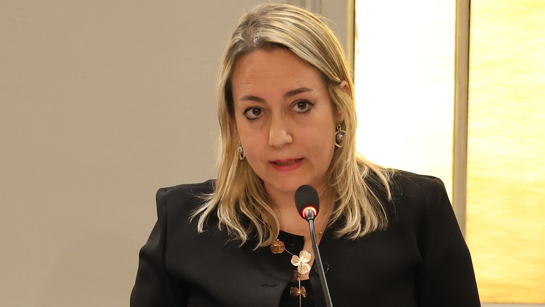 Coperion. Madeo (FdI): “Il Comune deve intervenire prontamente” 1