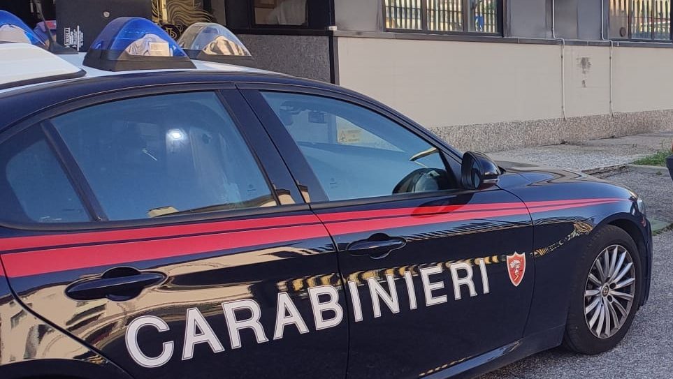 Fugge dagli arresti domiciliari e torna a casa a piedi di notte: fermata. 1