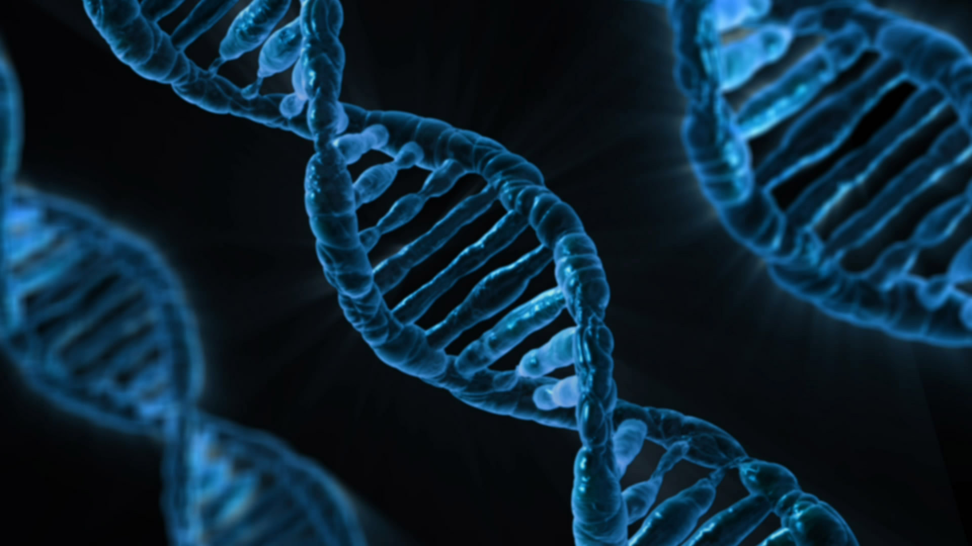 Gli inibitori Ku-DBi modificheranno le terapie oncologiche? 1