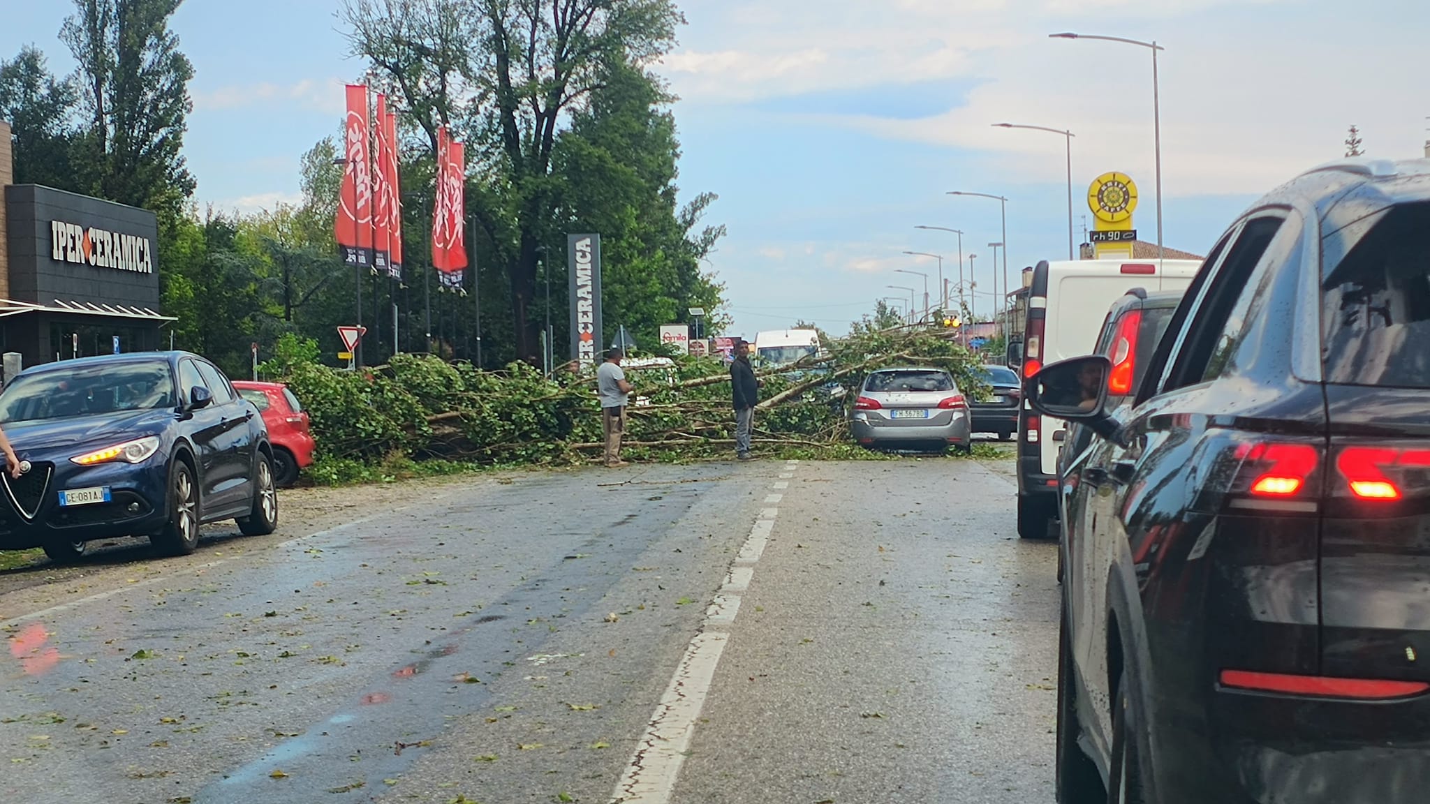 Maltempo, Ferrara in difficoltà. Inondazioni, incidenti e alberi abbattuti. Maltempo, Ferrara in difficoltà. Inondazioni, incidenti e alberi abbattuti. 24