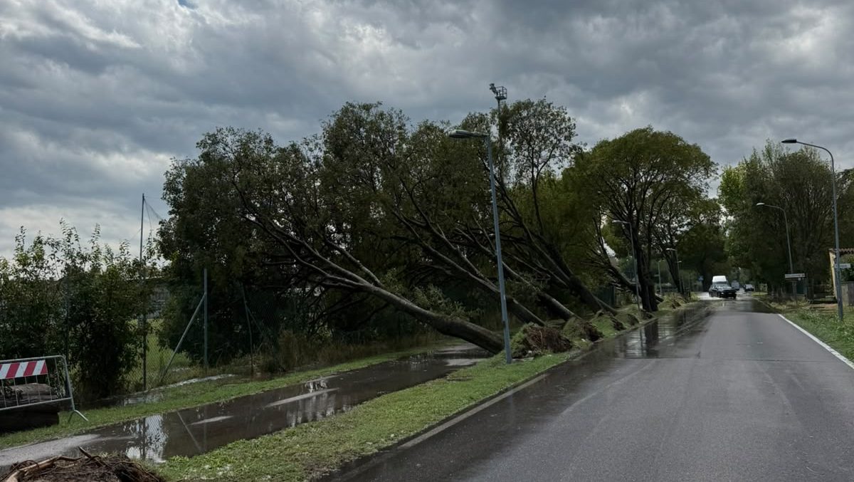 Maltempo, Ferrara in difficoltà. Inondazioni, incidenti e alberi abbattuti. Maltempo, Ferrara in difficoltà. Inondazioni, incidenti e alberi abbattuti. 29