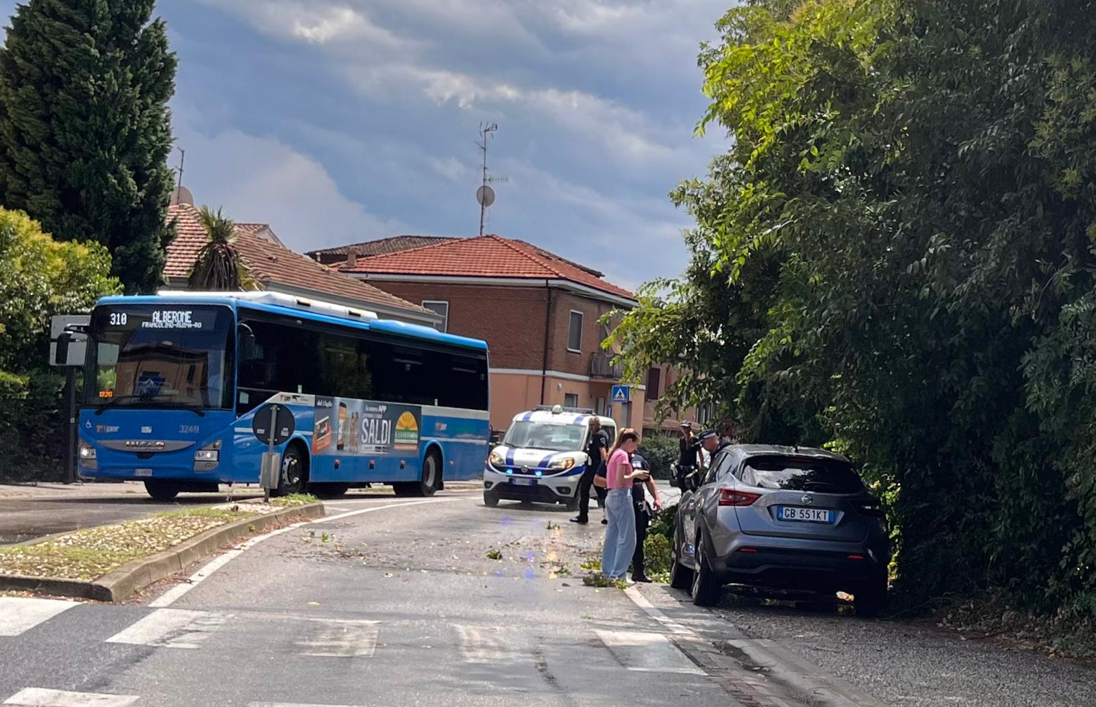 Maltempo, Ferrara in difficoltà. Inondazioni, incidenti e alberi abbattuti. Maltempo, Ferrara in difficoltà. Inondazioni, incidenti e alberi abbattuti. 25