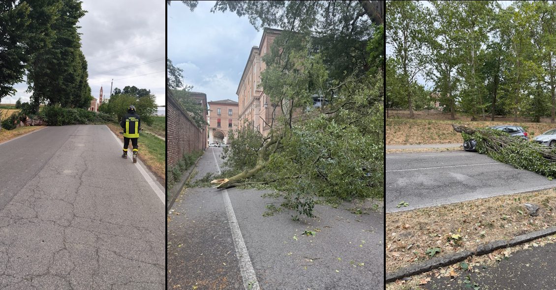 Maltempo in provincia di Ferrara: numerosi interventi per alberi caduti e danni alle reti elettriche. 1