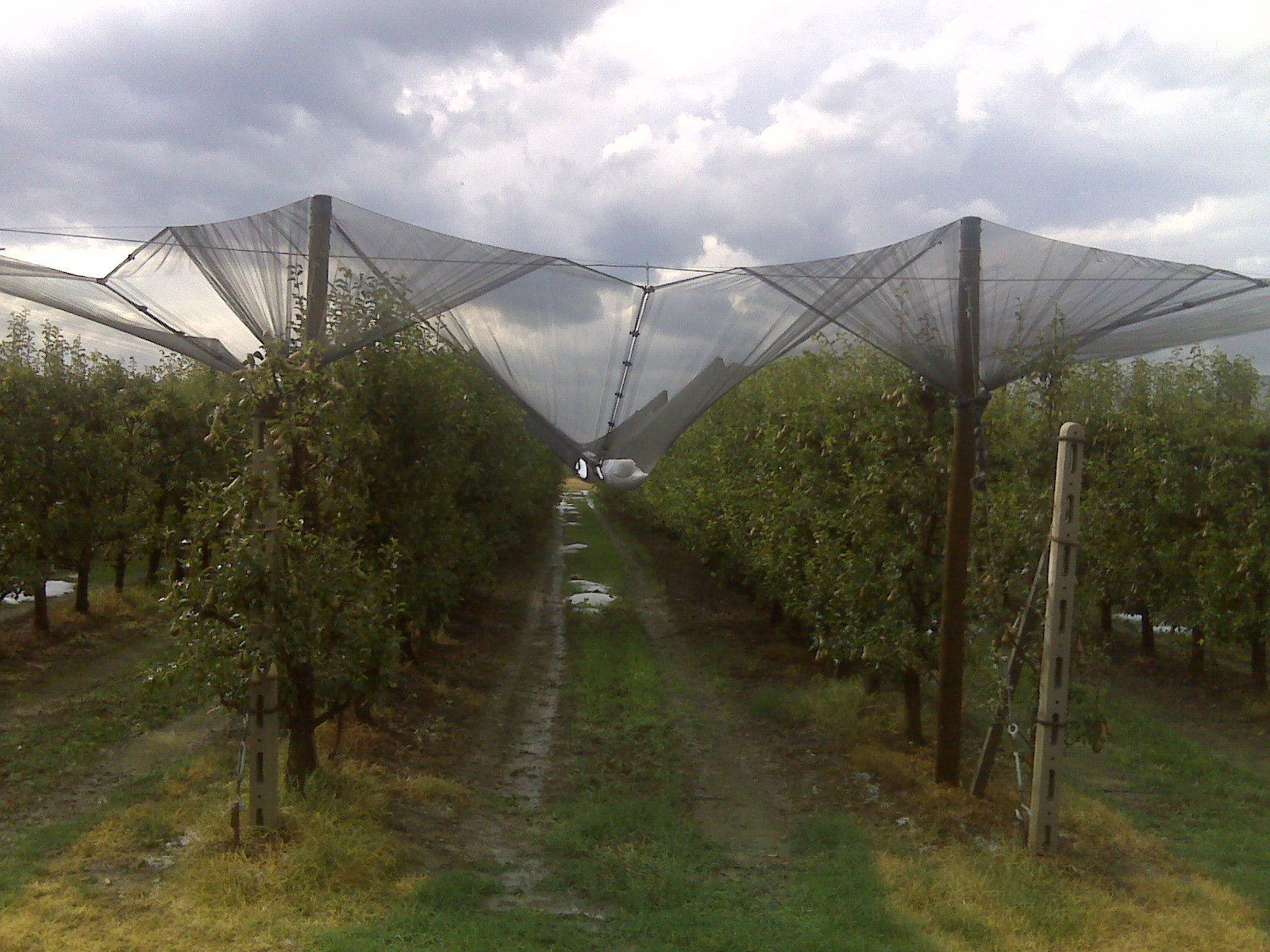Maltempo nelle province di Ferrara e Rovigo: Bper destina 50 milioni a sostegno delle aziende agricole danneggiate. 1