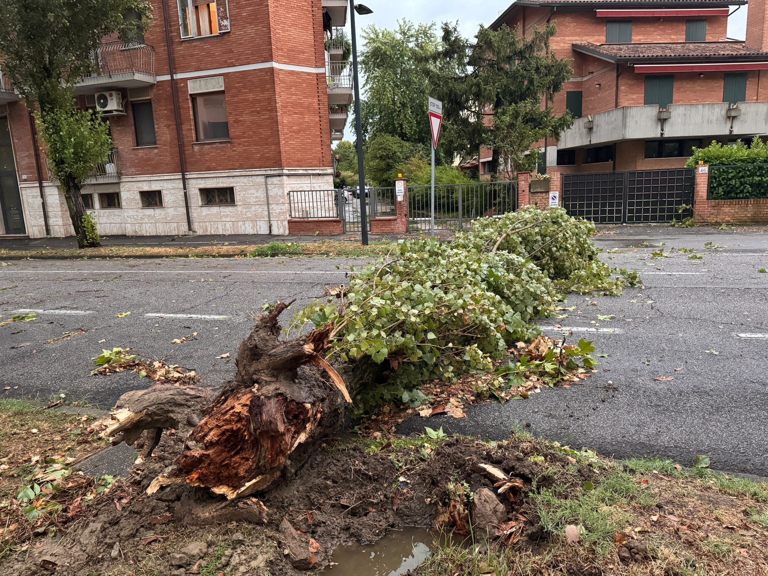 Maltempo. Upi e Anci Emilia Romagna: “La Regione e il Governo supportino le aree danneggiate” 1