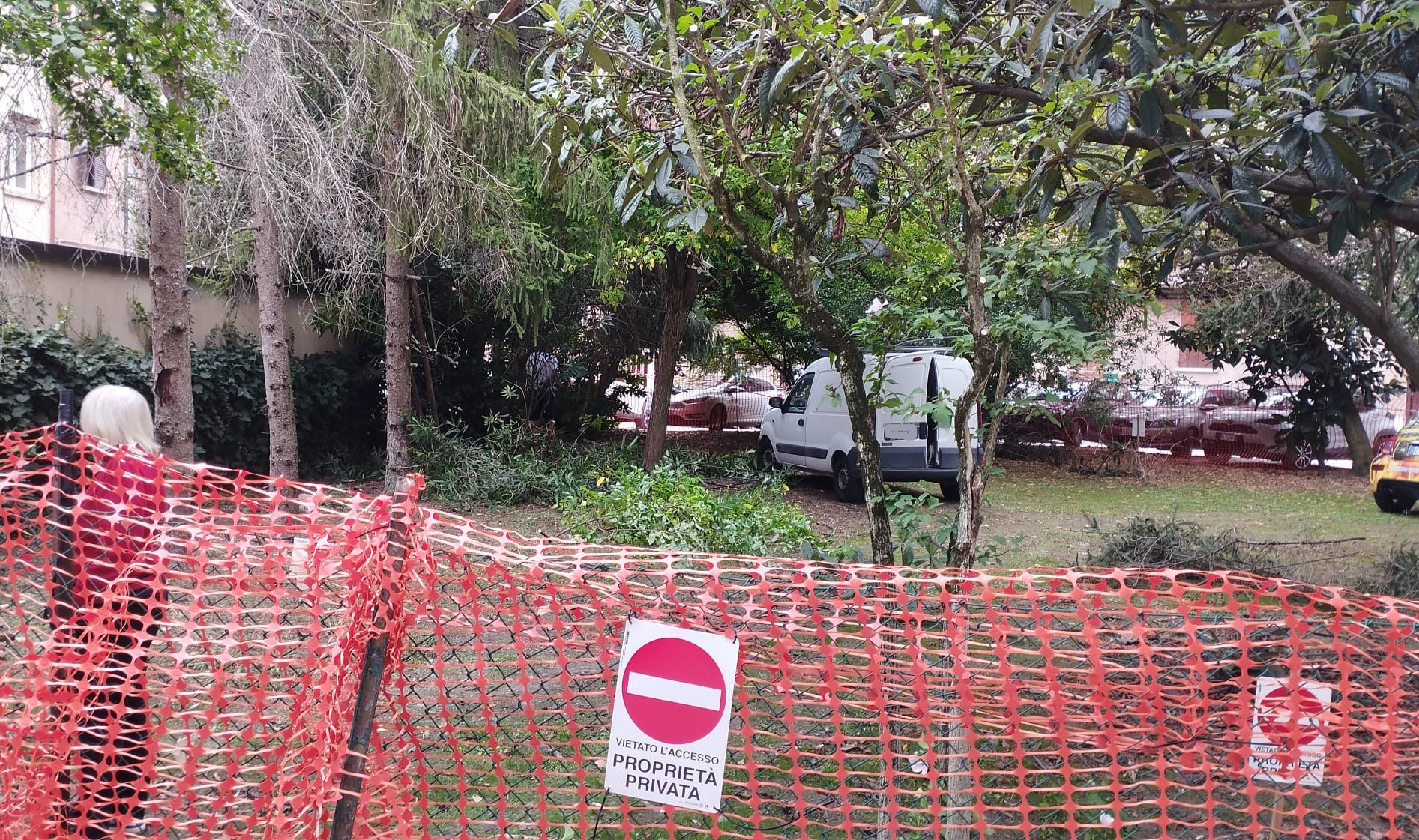 Sostituzione degli alberi con parcheggi per la vendita a un privato. Zonari: “Inaccettabile” 1