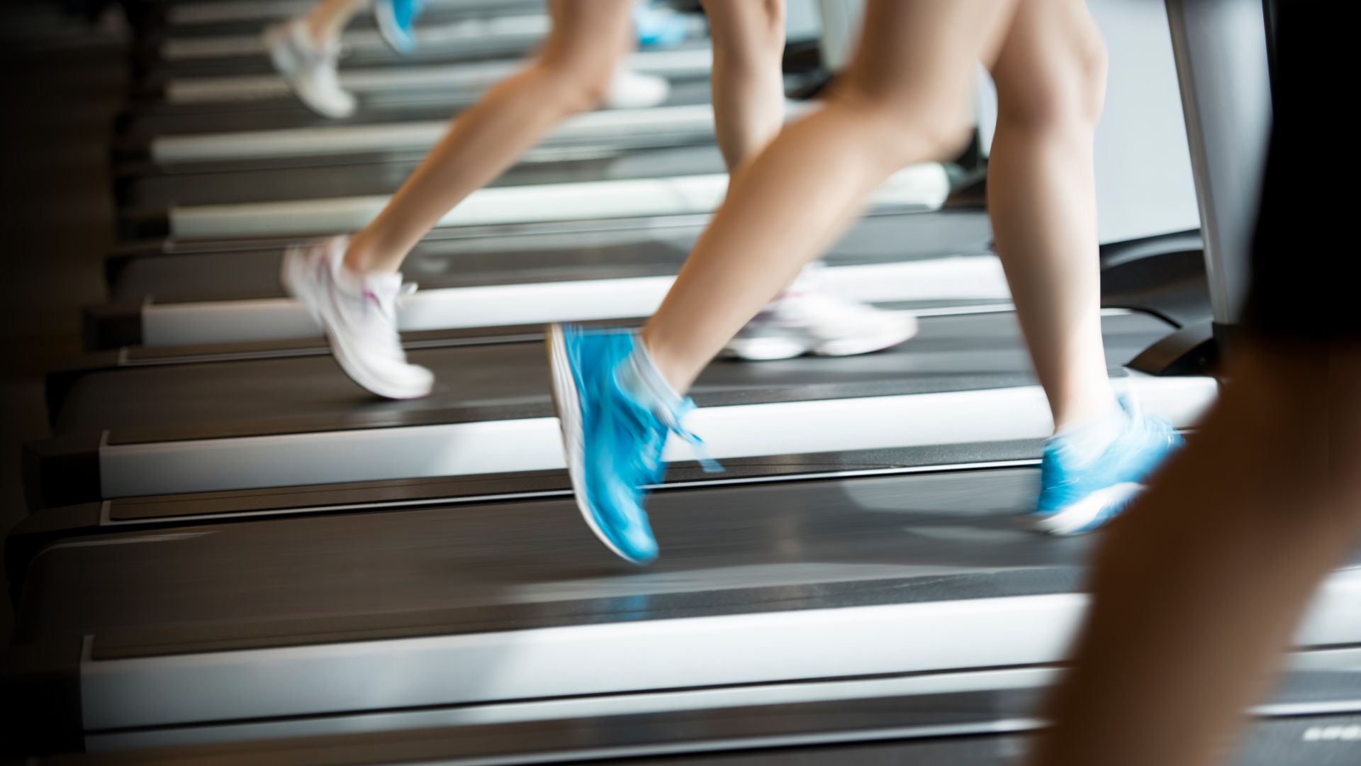 Sport a Ferrara: la provincia si colloca al 61° posto in Italia, “un indicatore da considerare attentamente” 1