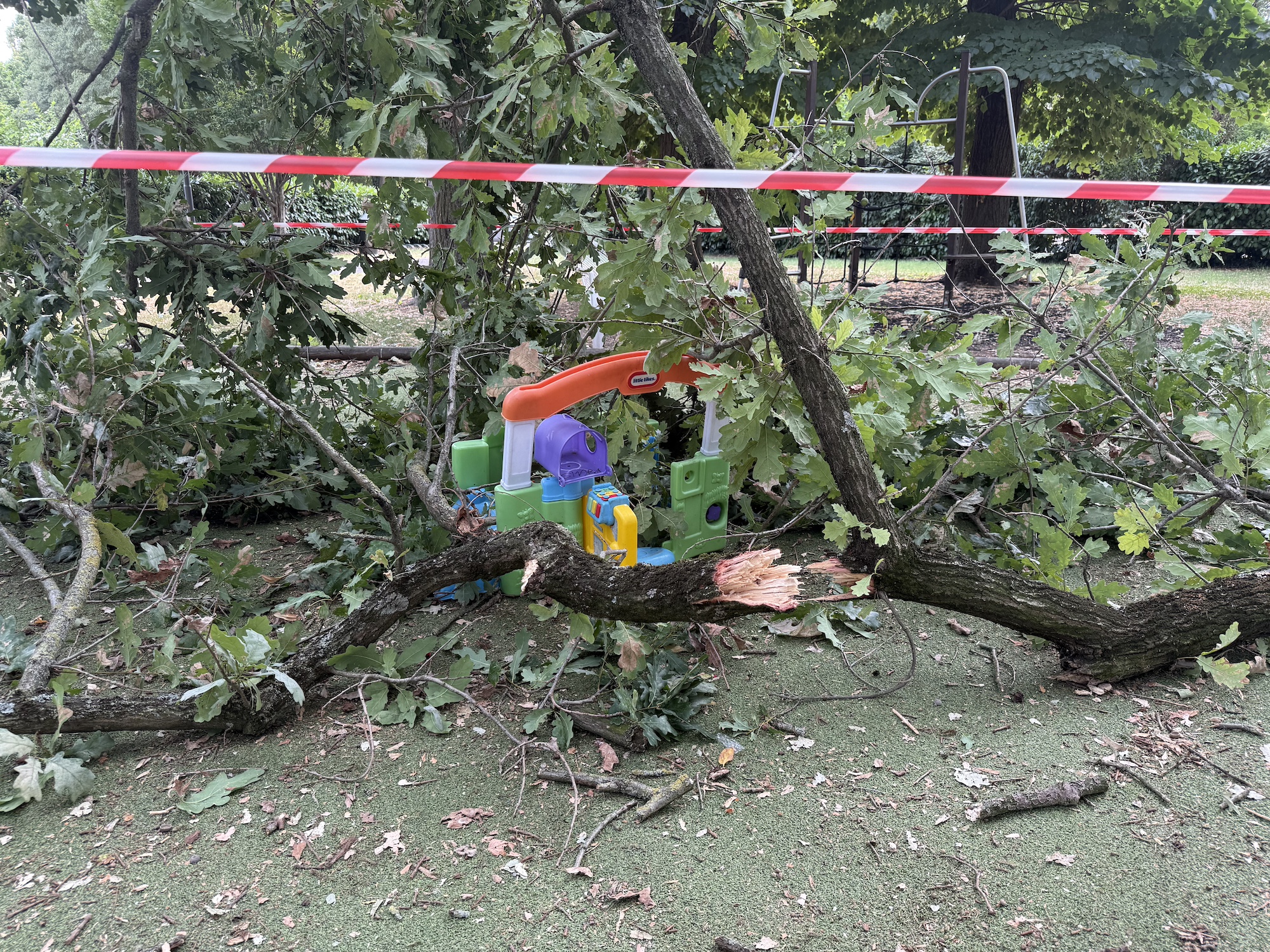 Un grande ramo si stacca in viale Orlando Furioso, tre bambini sfiorati. Un grande ramo si stacca in viale Orlando Furioso, tre bambini sfiorati. 15
