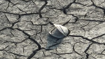 Cambiamenti climatici, da emergenza a condizione permanente. 1