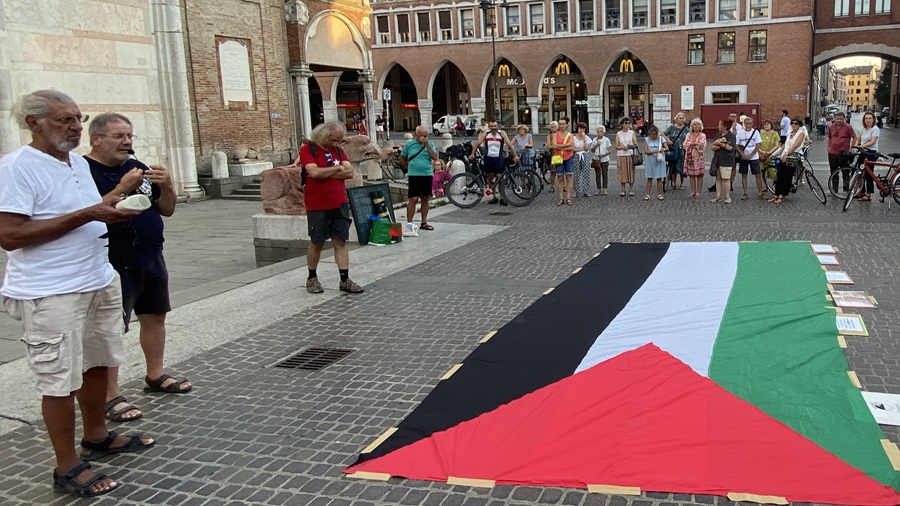 Emblemi viventi di una speranza tenace 1