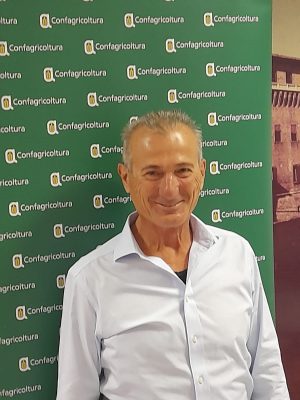 Frutticoltura. Difficoltà nel sistema commerciale, Tamirasi: “Siamo privi di una corretta organizzazione” Frutticoltura. Difficoltà nel sistema commerciale, Tamirasi: “Siamo privi di una corretta organizzazione” 2