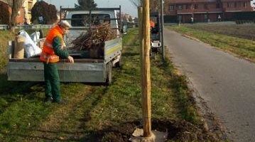 Zonari (La Comune): “Spazio verde accettabile, ma solo se la proposta proviene dalla fonte corretta” 1