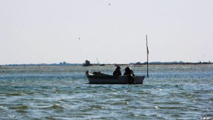 Estate 2026: caldo, grandine e costi energetici mettono a dura prova pesca e agricoltura in Romagna-Estense 3