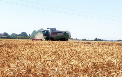 Estate 2026: caldo, grandine e costi energetici mettono a dura prova pesca e agricoltura in Romagna-Estense 4