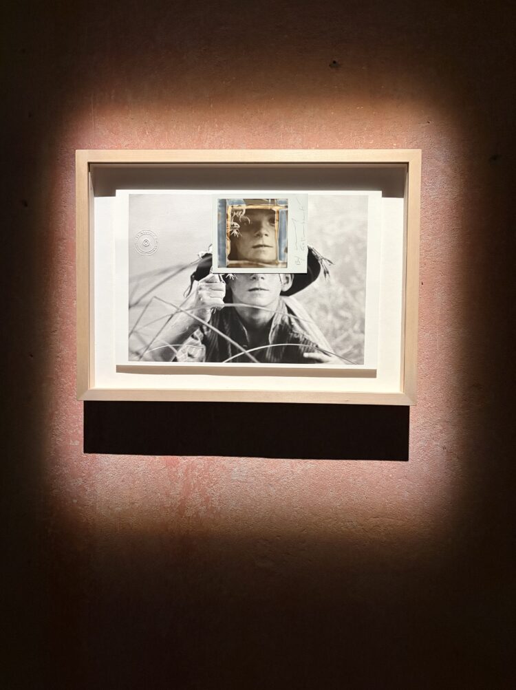 Maurizio Galimberti alla mostra "CinquantaNovecento" a Guastalla 1