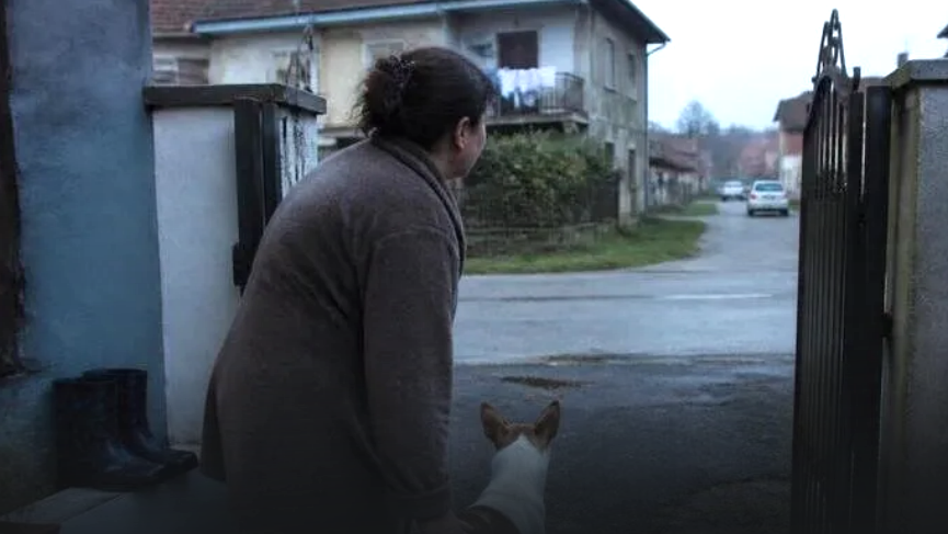 Spari all'alba vicino alle case, la protesta di Fondoreno e Borgo Scoline: “Sembra di vivere in una zona di guerra” Spari all’alba vicino alle case, la protesta di Fondoreno e Borgo Scoline: “Sembra di vivere in una zona di guerra” 1