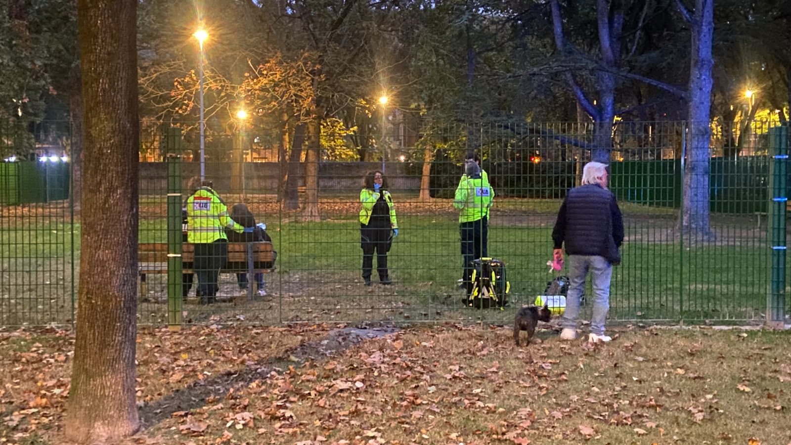 Gad, cane sbranato nell’area sgambamento del parco Nazario Sauro Tragedia al parco Nazario Sauro: un cane aggredisce e uccide uno Yorkshire nel piazzale sgambamento 1